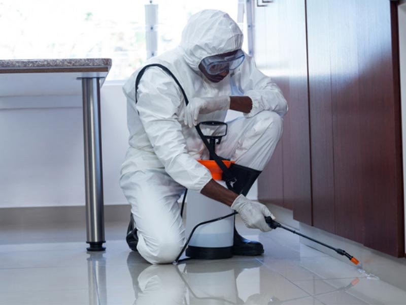 Office Pest Control