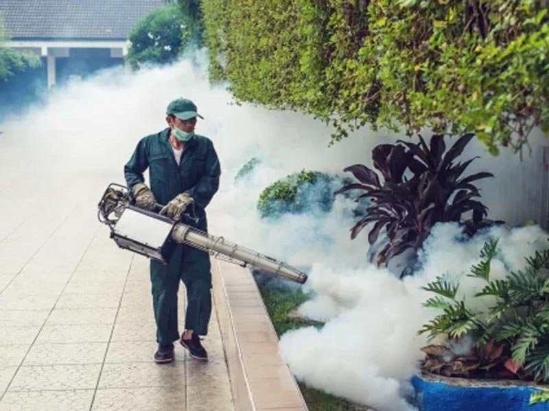 Outdoor Pest Cleaning
