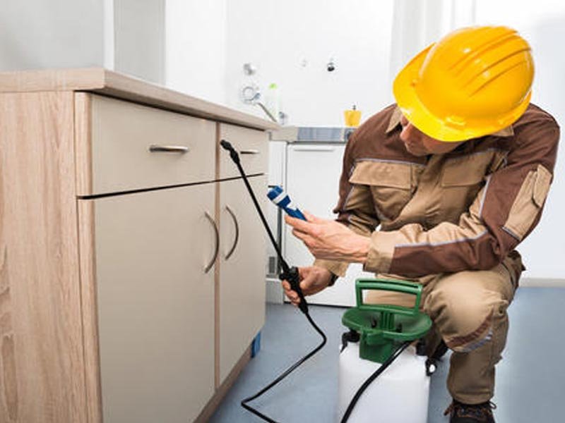 Indoor Pest Cleaning